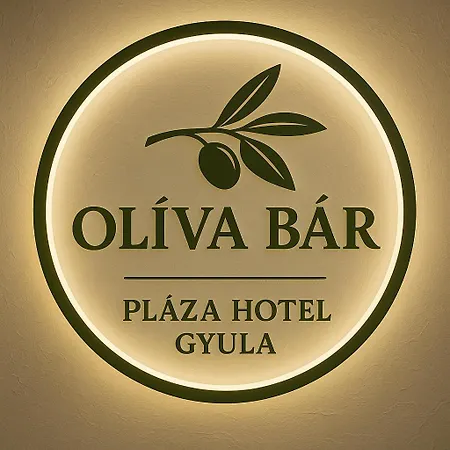 Hotel Plaza Gyula