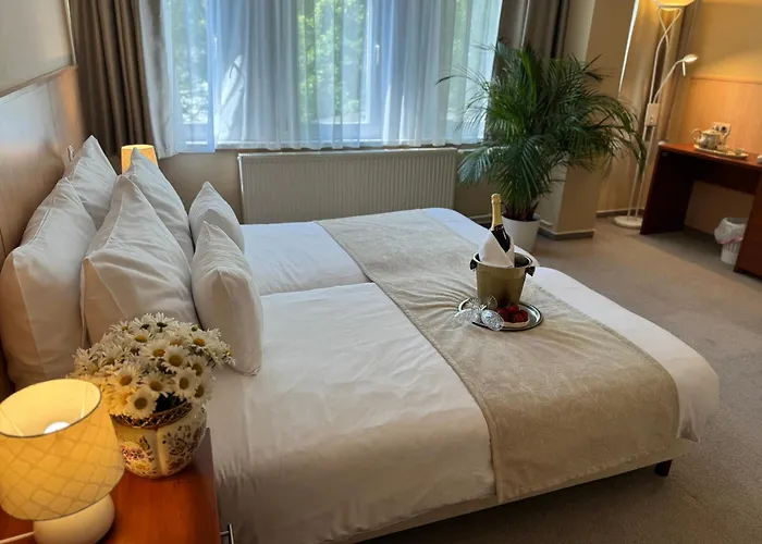 Hotell Plaza 3*